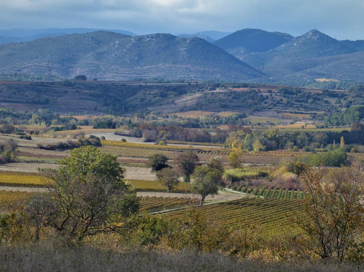 Le Marronnier Bed & Breakfast Saint-Genies-de-Fontedit Dış mekan fotoğraf